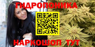 молекула духа Заводоуковск
