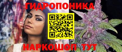 молекула духа Заводоуковск
