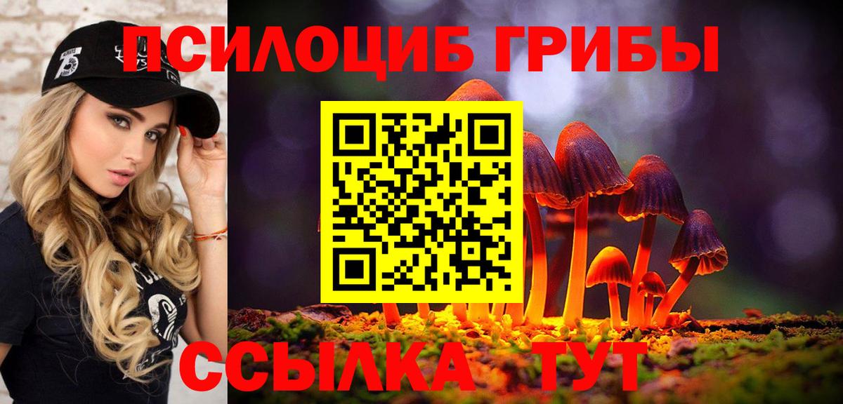Псилоцибиновые грибы мицелий Междуреченск