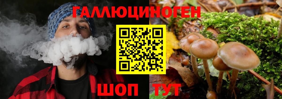Галлюциногенные грибы Magic Shrooms  Галлюциногенные грибы мицелий  Междуреченск  Вход с VPN 